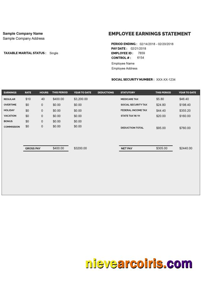 EMPLOYEE earnings statement format